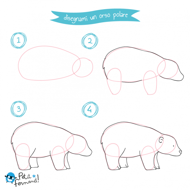 disegni da colorare orso polare