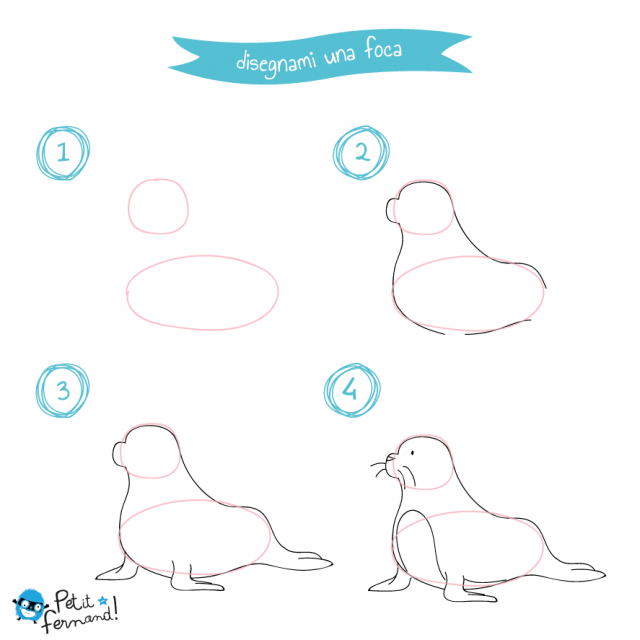 disegni da colorare foca