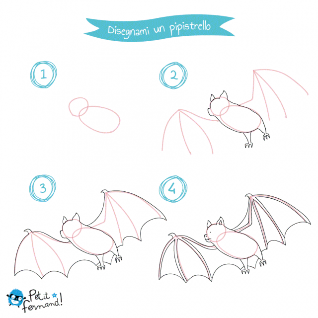 disegni da colorare pipistrello
