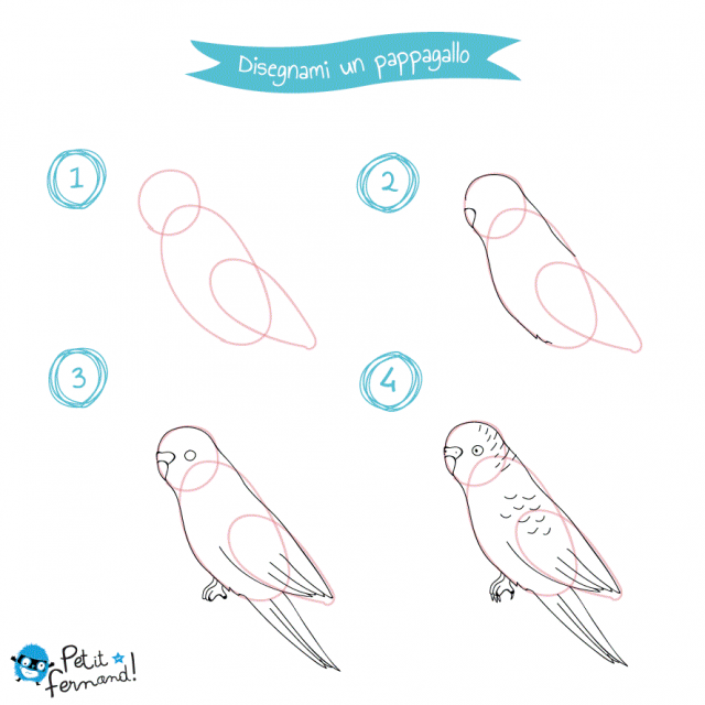 disegni da colorare pappagallo