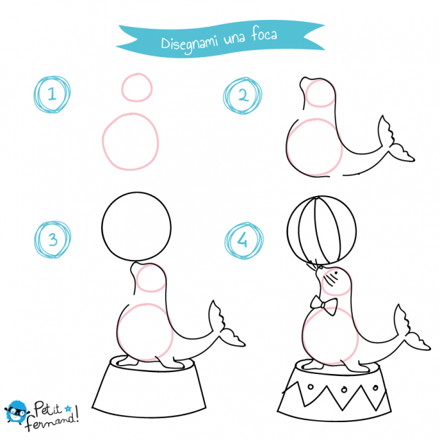 disegni da colorare foca