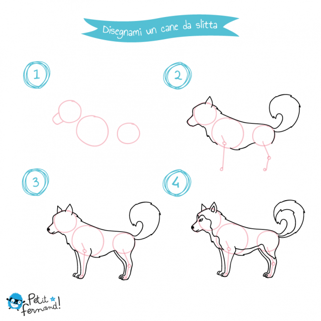 disegni da colorare cane da slitta