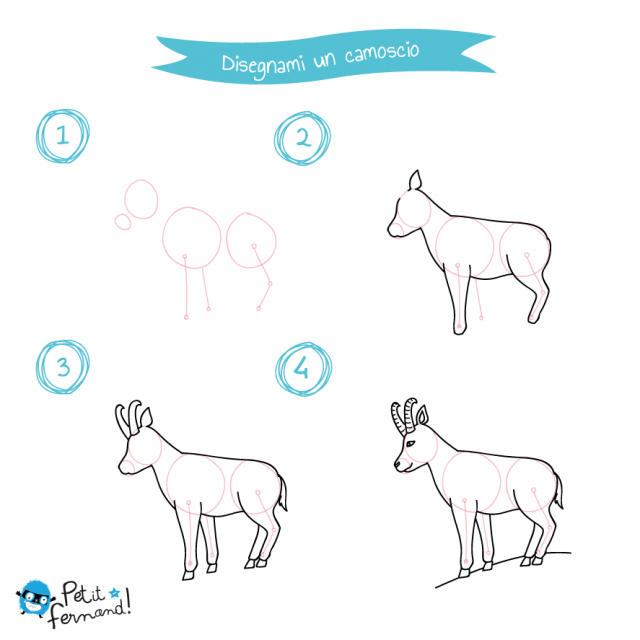disegni da colorare camoscio