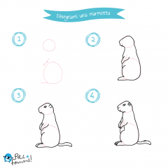 disegni da colorare marmotta