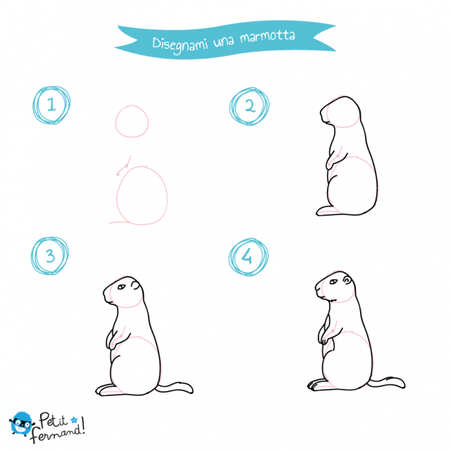 disegni da colorare marmotta