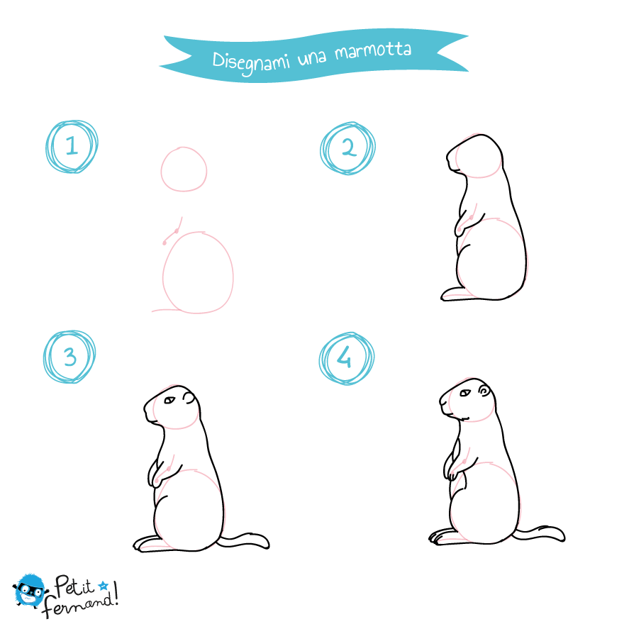 Disegno Della Marmotta Petit Fernand It