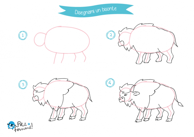 come disegnare un bisonte