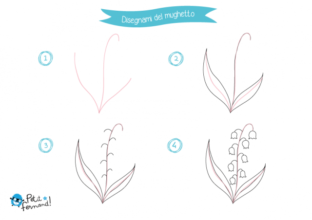 disegno mughetto
