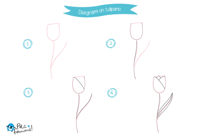disegno tulipano