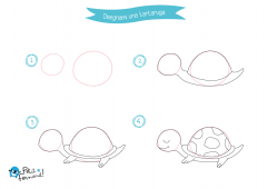 imparare a disegnare una tartaruga