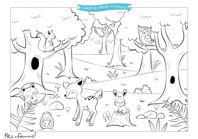 Dei bellissimi disegni da colorare con tutti gli animali del bosco!
